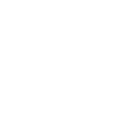 havaianas